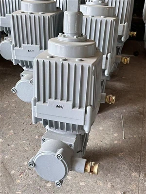 Explosion Proof Electro Hydraulic Thruster Rau South Kauslim